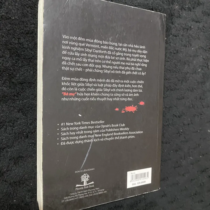 Bà mụ-Chris Bohjalian 1032759