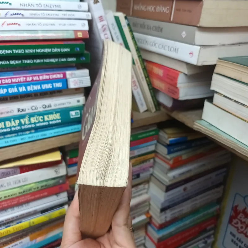 Gia Đình- Ba Kim 789741