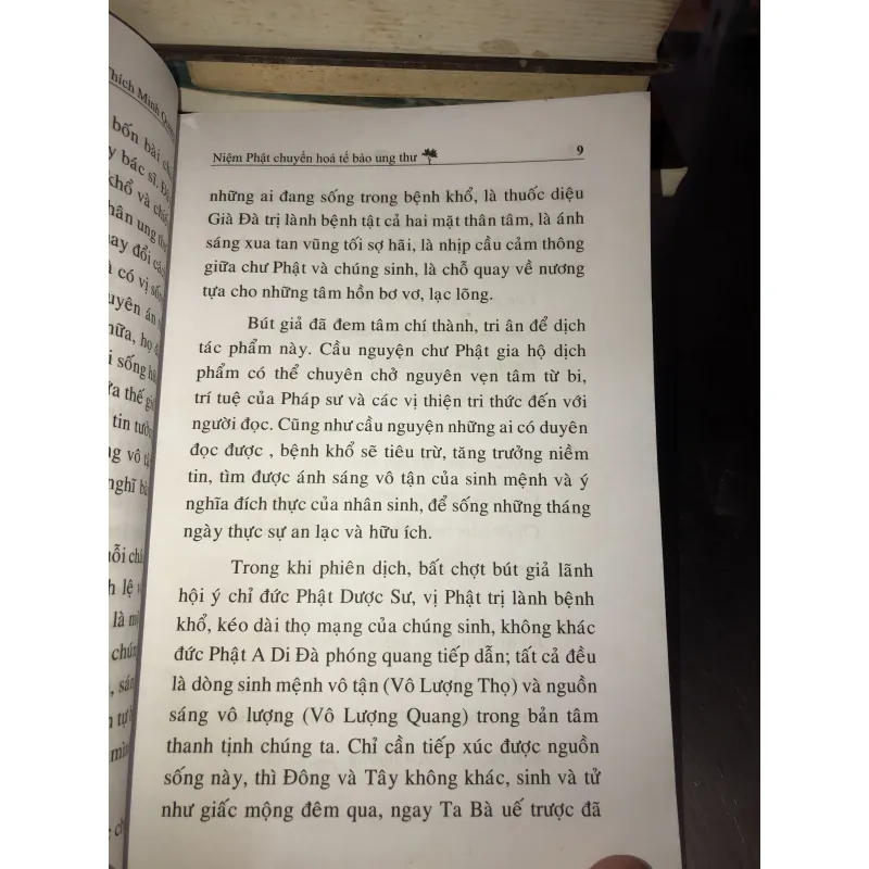 Niệm phật chuyển hoá tế bào ung thư 1009140