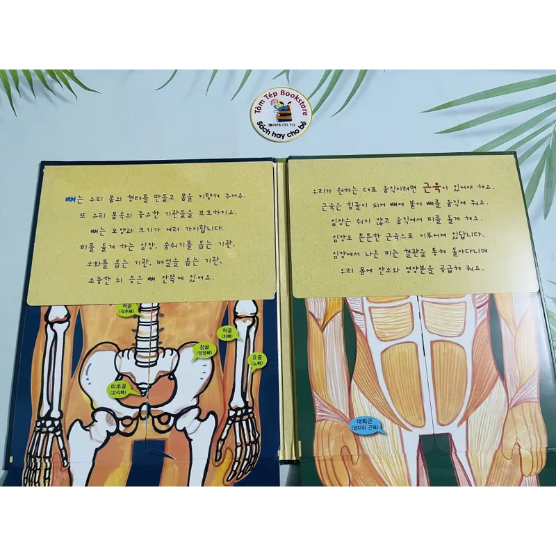 아하! 재미있는 인체학습 – 우리 몸 알기  720355