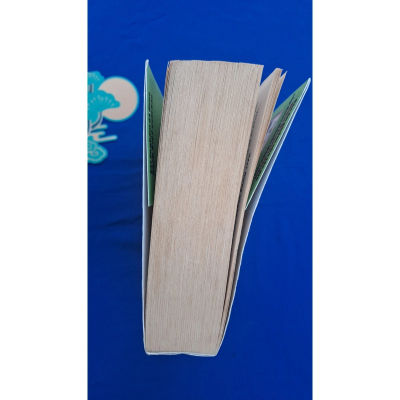 Mối lương duyên trời đánh 324986