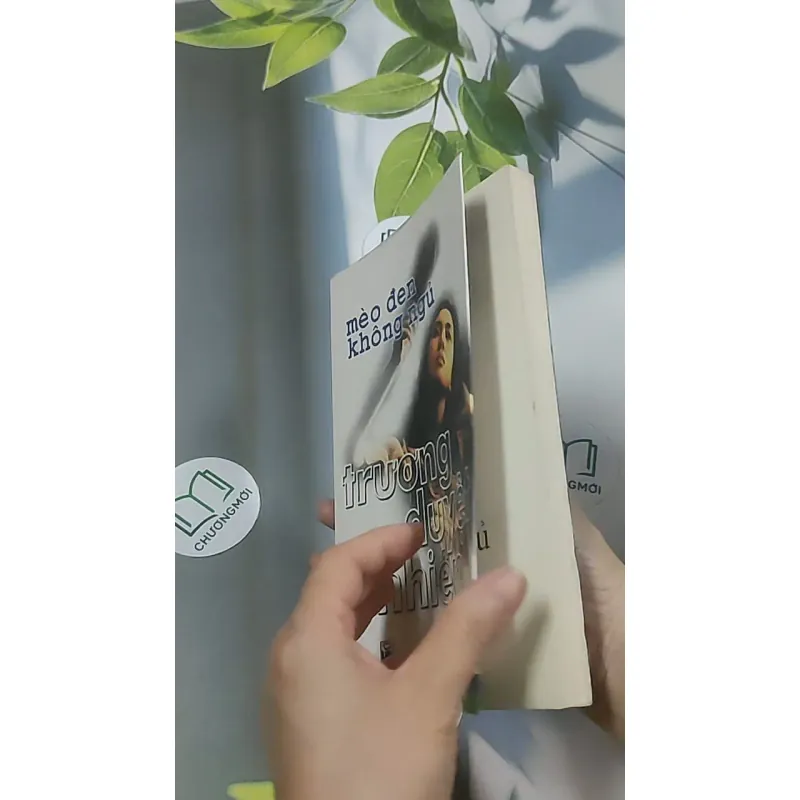 Mèo đen không ngủ - Trương Duyệt Nhiên 688649