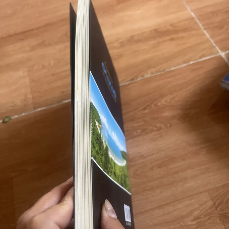 Cảm nhận đà nãng  763520