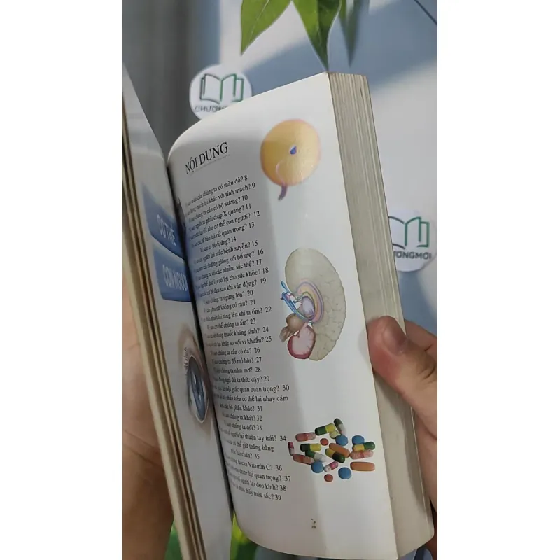 [MIỄN PHÍ BỌC SÁCH] Why - Tôi muốn biết vì sao...? - Phạm Thiên Tứ dịch 798377