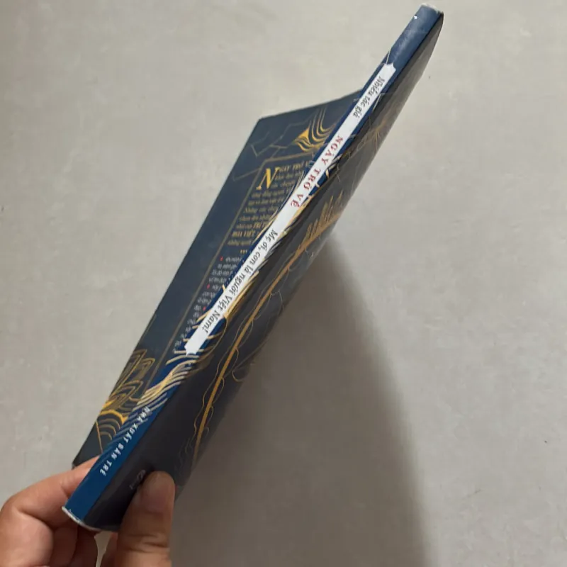 Ngày trở về! Mẹ ơi, con là người Việt Nam (t01) 750108