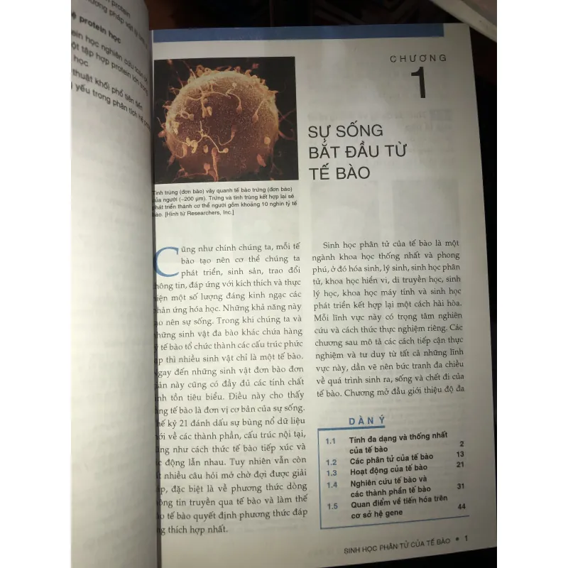 Sinh học phân tử của tế bào tập 1  1010153
