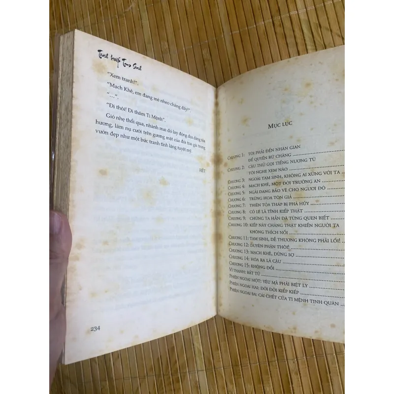 Tình kiếp Tam Sinh 1010020