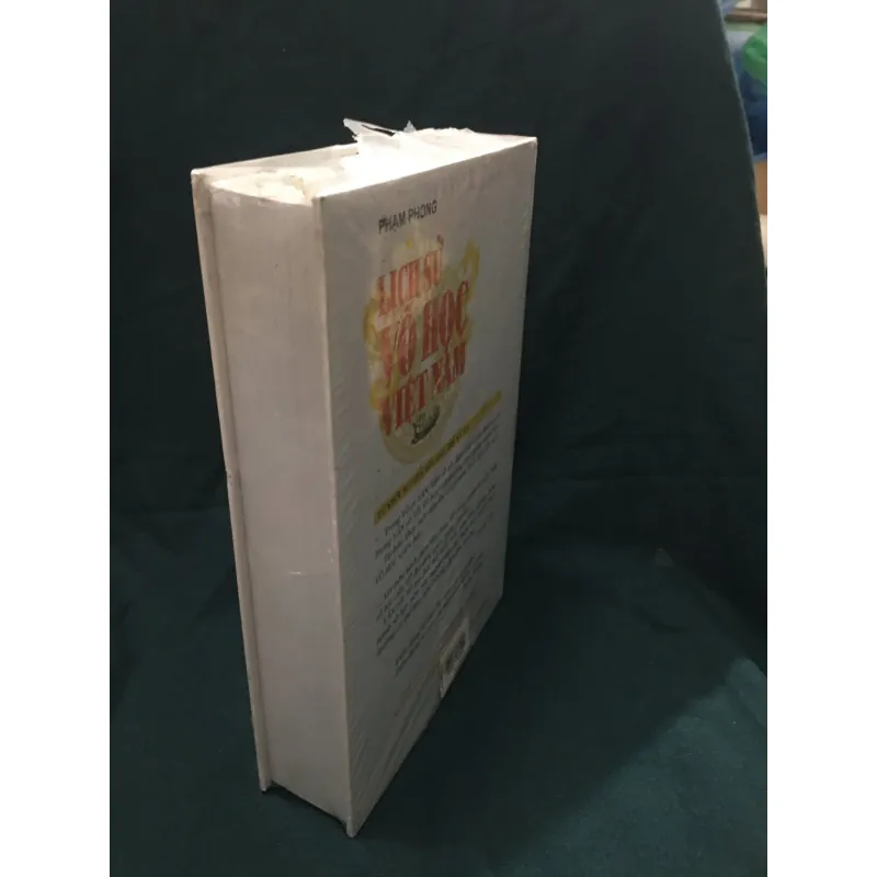 Lịch sử võ học Việt Nam 960211