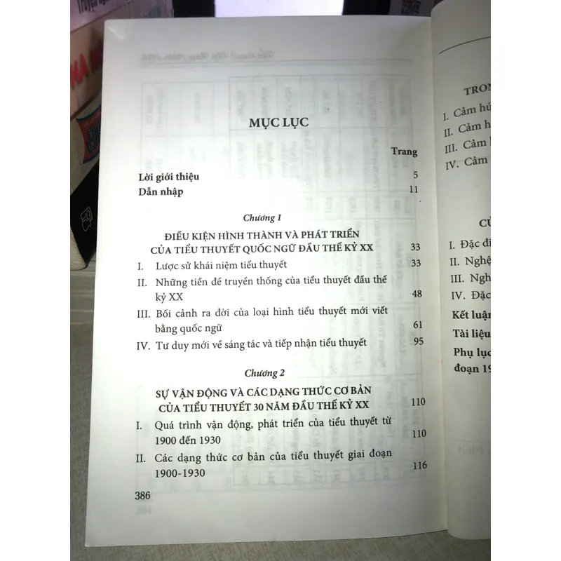 Tiểu thuyết Việt Nam 1900 - 1930 700604