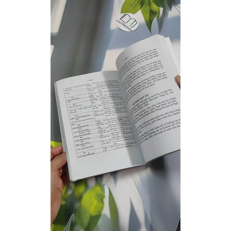 Tử Vi Tướng Pháp 776181