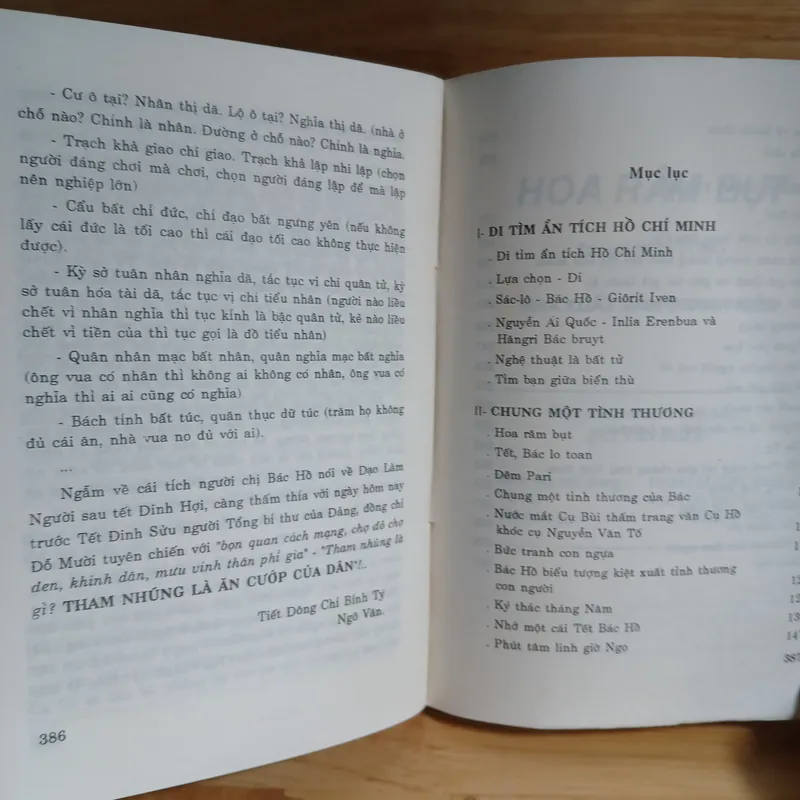 Hoa Râm Bụt - Sơn Tùng 728450