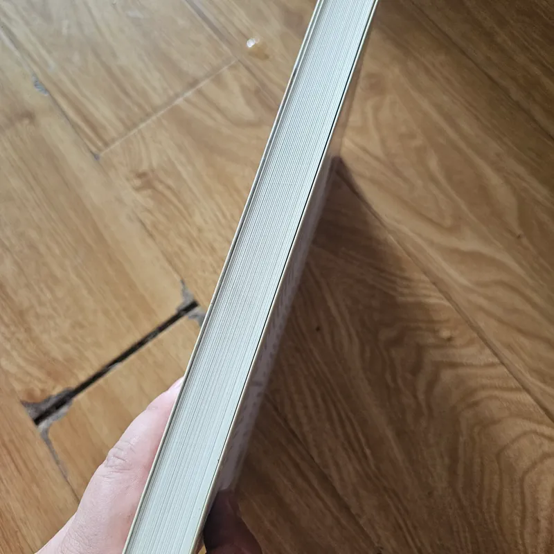 Truyện nôm, Nhị độ mai tinh tuyển
100k (bìa 200k) 561296