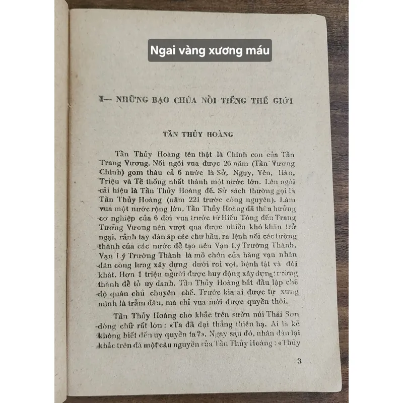 NGAI VÀNG XƯƠNG MÁU - Tủ sách sông Hương 1988 706947
