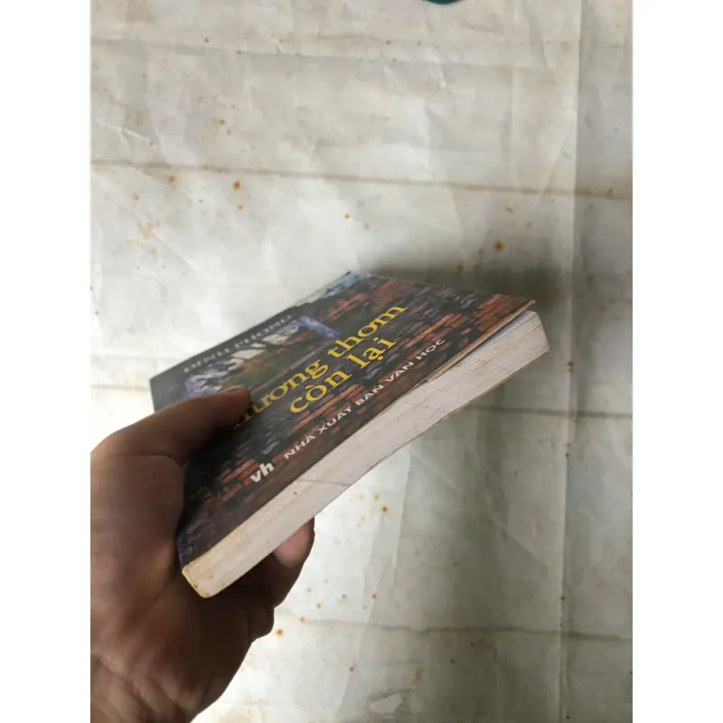 Hương Thơm Còn Lại - Đinh Phong 800978