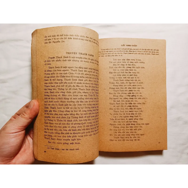 Văn Tuyển Văn Học Việt Nam ( Thế Kỷ Thứ XI - Nửa Đầu Thế Kỷ XIX ) 745317