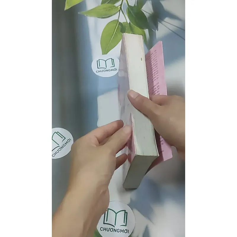 Nhật ký lấy chồng - Nhân Hải Trung 688623