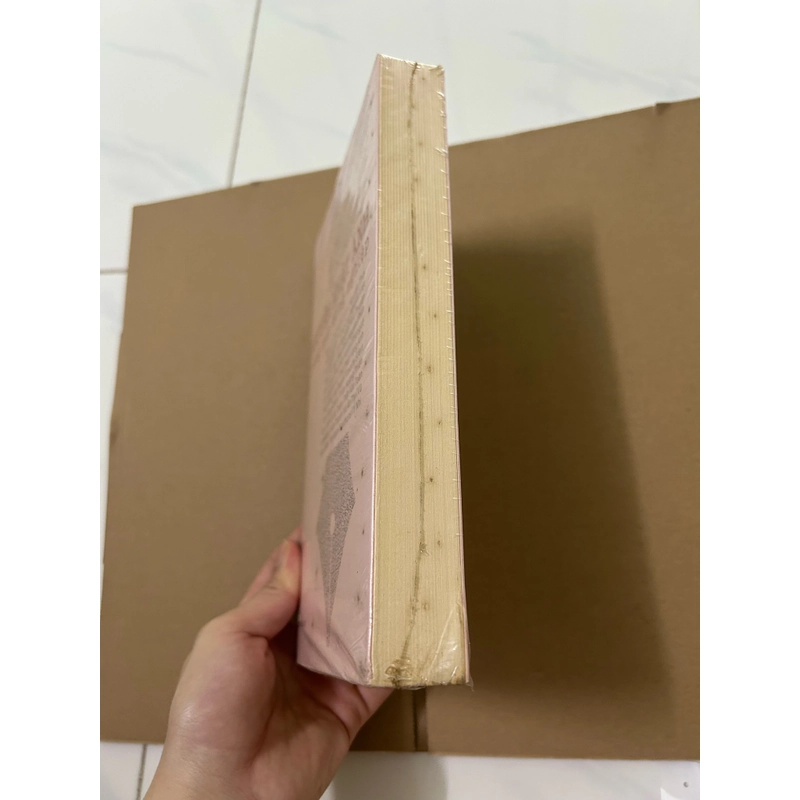 Nguyễn Nhật Ánh trong mắt đồng nghiệp 517814