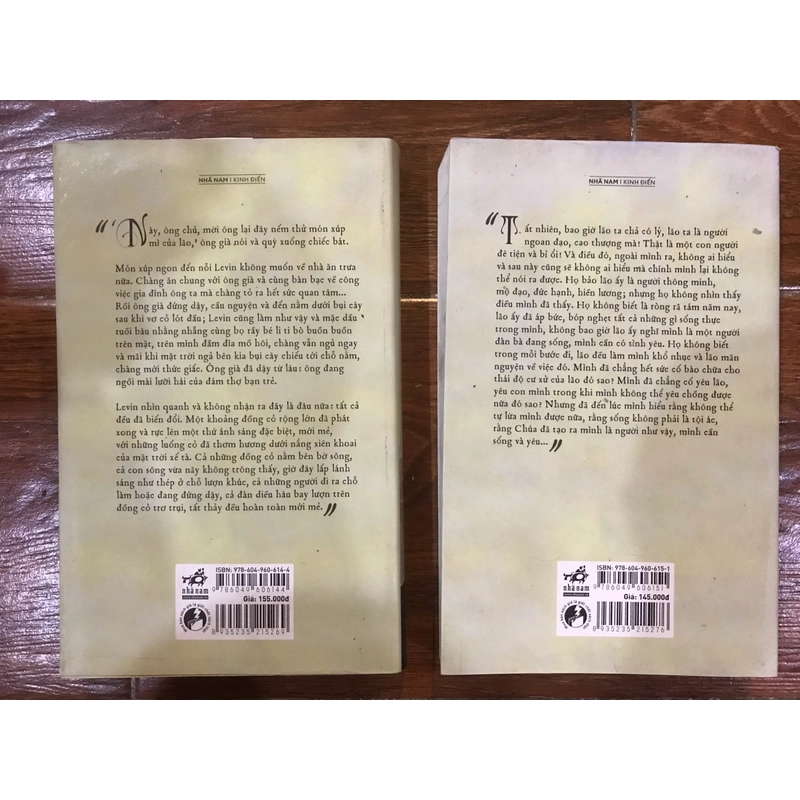 Anna Karenina - Lev Tolstoy bộ 2 tập (19) 471561