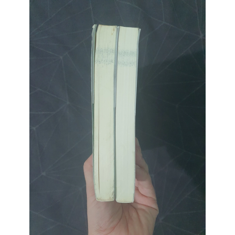 "19 năm mưu sát" - Na Da 475605