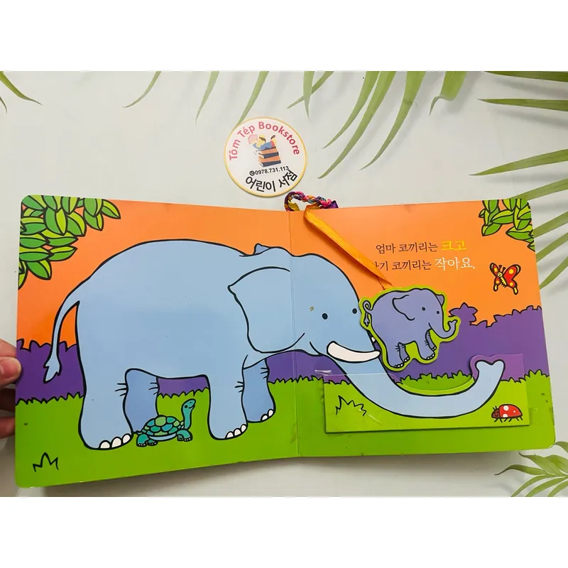 set board book tiếng Hàn B38 1067938
