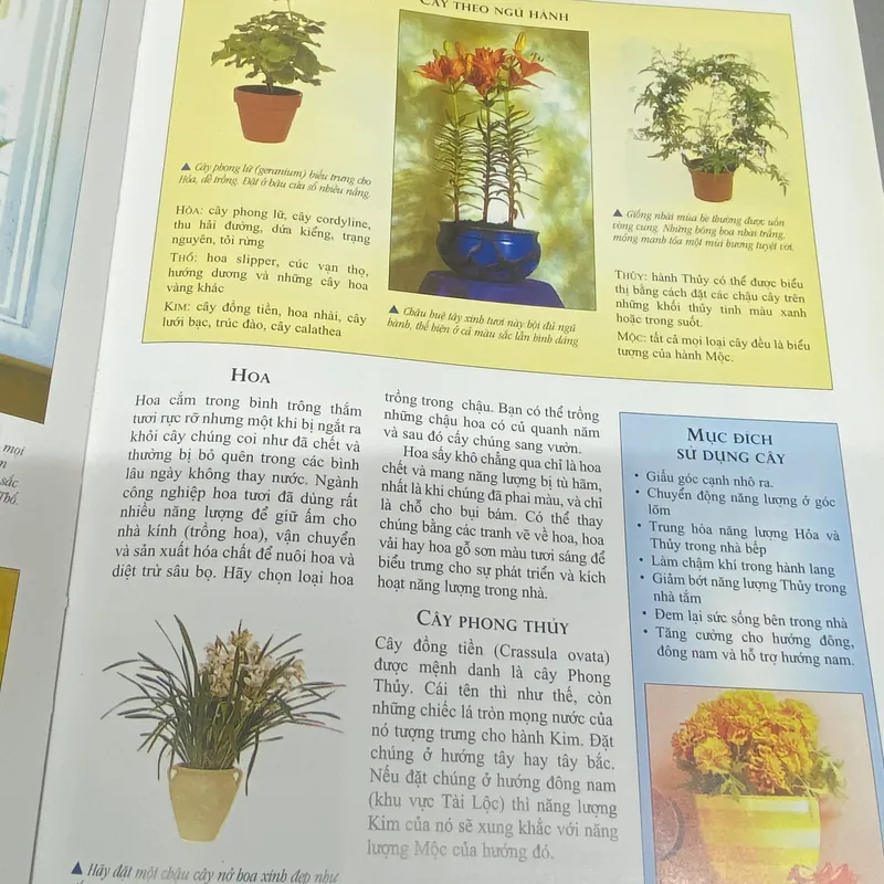 Phong Thủy - Nghệ Thuật Bài Trí Nhà Cửa Theo Khoa Học Phương Đông 567852