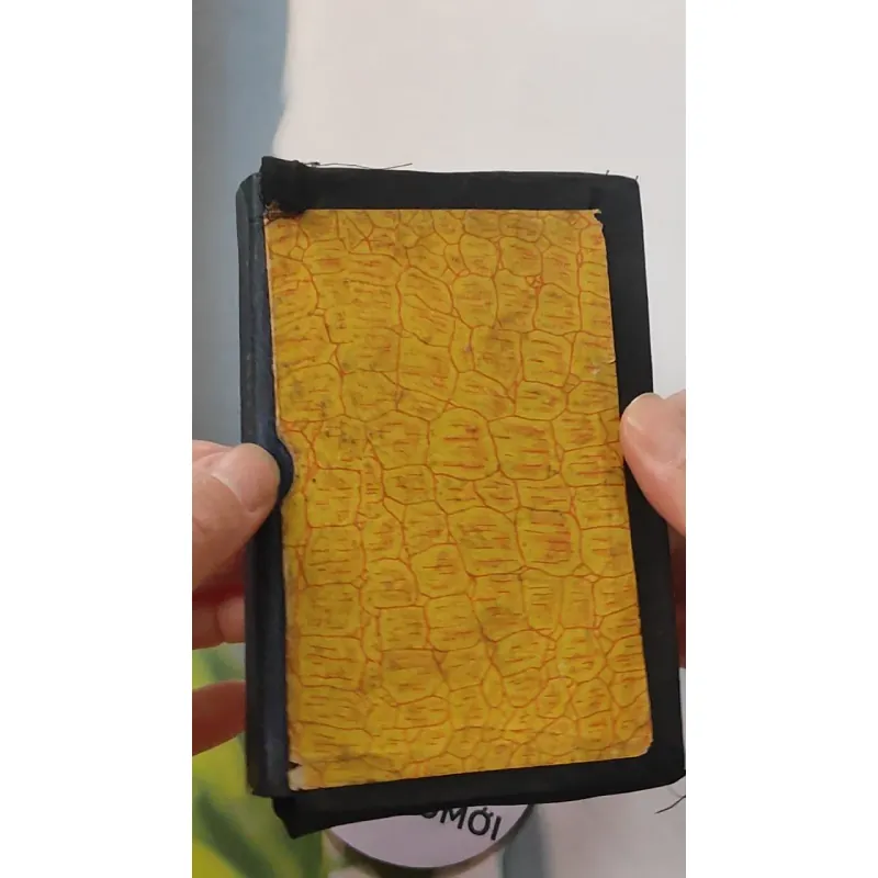 [MIỄN PHÍ BỌC SÁCH] [XƯA] Thiên Chúa Thánh Giá Nhựt Khóa (1965) 775949