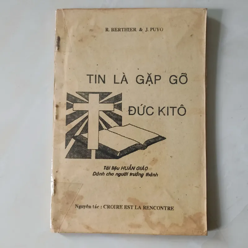 Tin là gặp gỡ Đức Kitô 🌻 563340