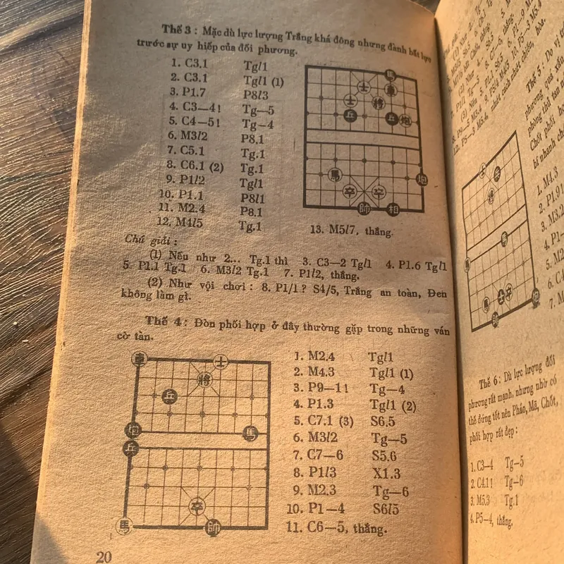 Cờ tàn nghệ thuật 707065