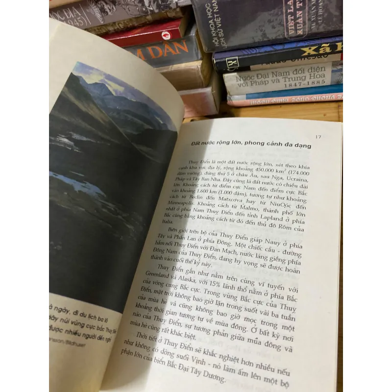 Sách cũ: Bức tranh toàn cảnh Thụy Điển - Hans-Ingvar Johnsson 1020124