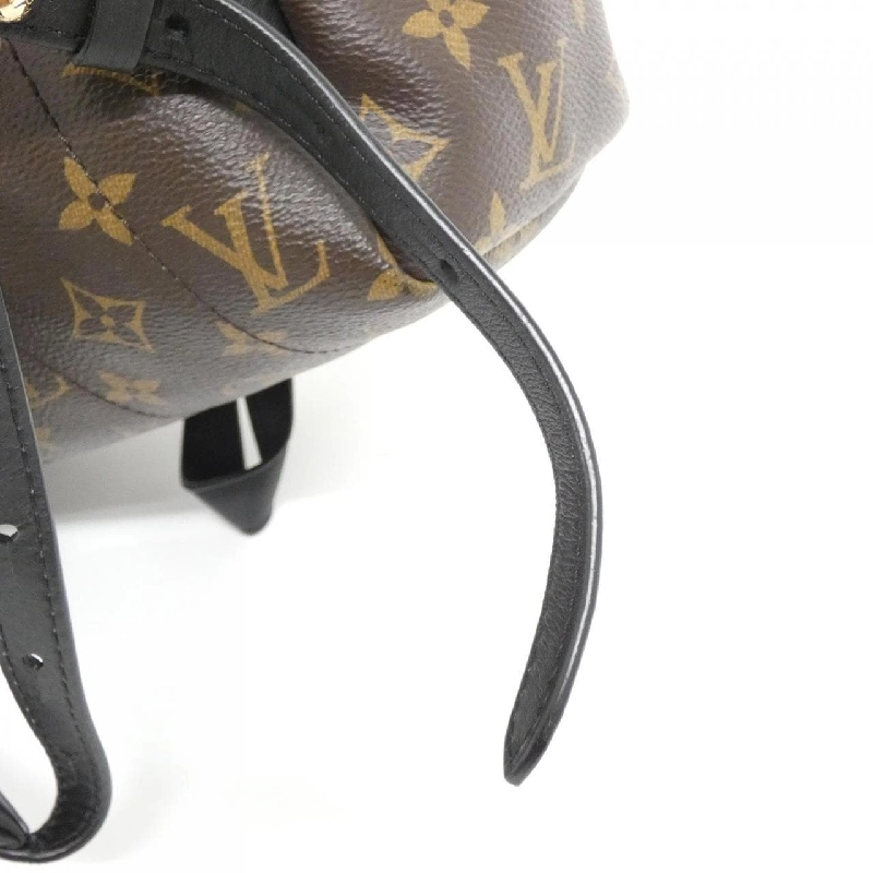 Ba lô Louis Vuitton Monogram Palm Springs M41561 609251