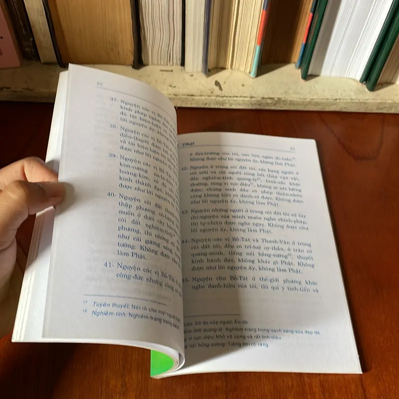 II Sách Phật Giáo: Phật Lục - Trần Trọng Kim - 2013 575141