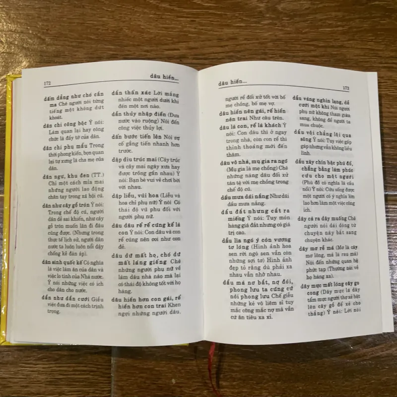 Từ điển thành ngữ và tục ngữ Việt Nam (11) 1021291