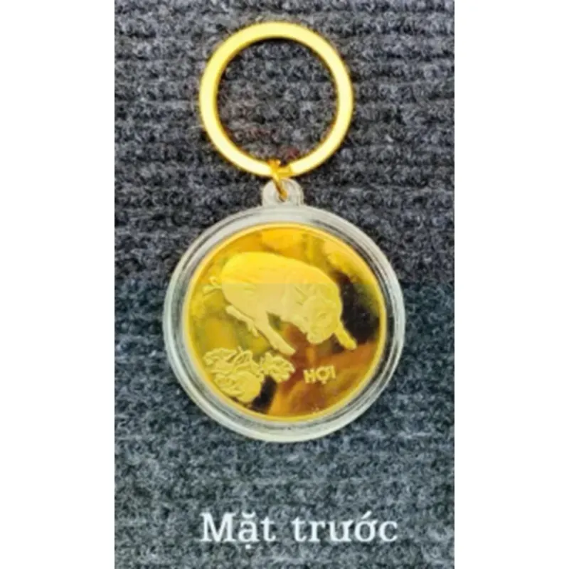 Móc Khóa Đồng Xu Con Hợi Mạ Vàng Treo Oto, Xe Máy Phong Thủy 1013699
