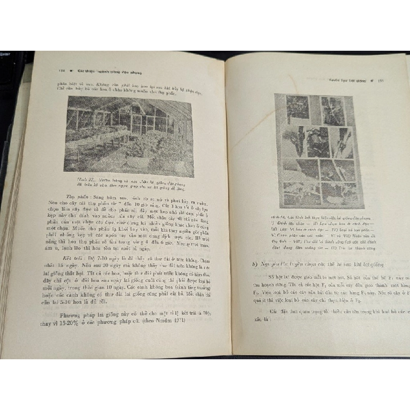 Cải thiện ngành trồng đậu phụng tại việt nam - Tôn Thất Trình 378172