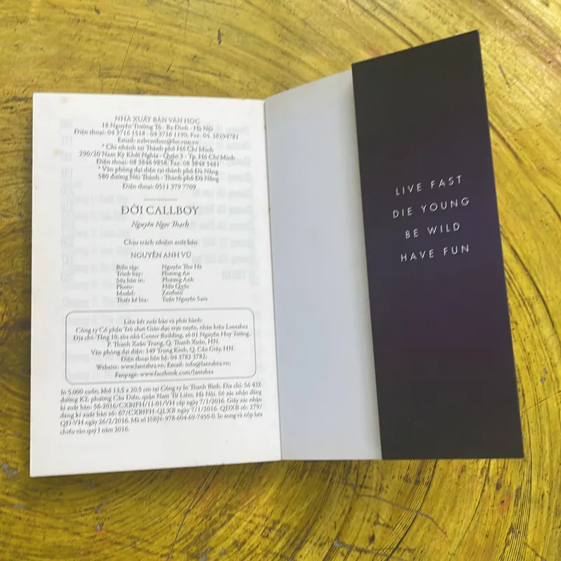 ĐỜI CALLBOY- NGUYỄN NGỌC THẠCH - văn học 2016 738010