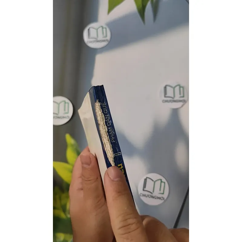 Bói Kiều - Phạm Đan Quế 798313