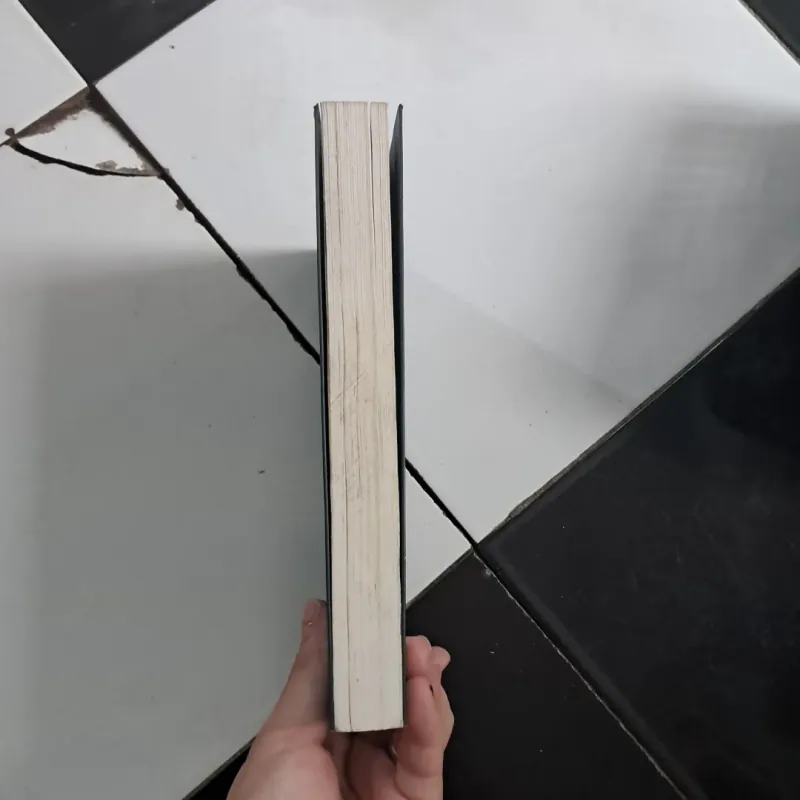 Hạt Cơ Bản 1024343