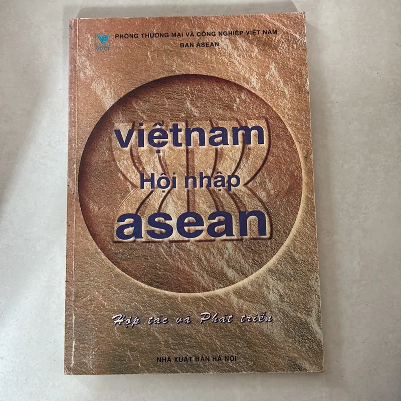 Việt Nam hội nhập Asean 727646