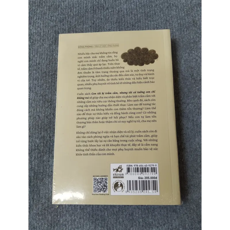 CON TÔI BỊ TRẦM CẢM, NHƯNG TÔI CỨ TƯỞNG CON CHỈ KHÔNG VUI 717940