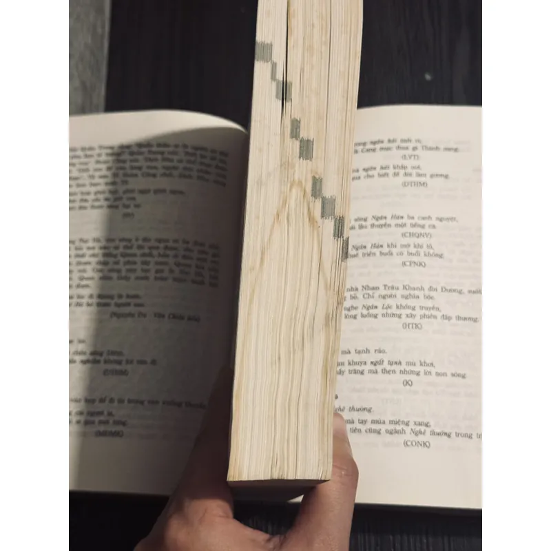 Từ điển văn học quốc âm 601639