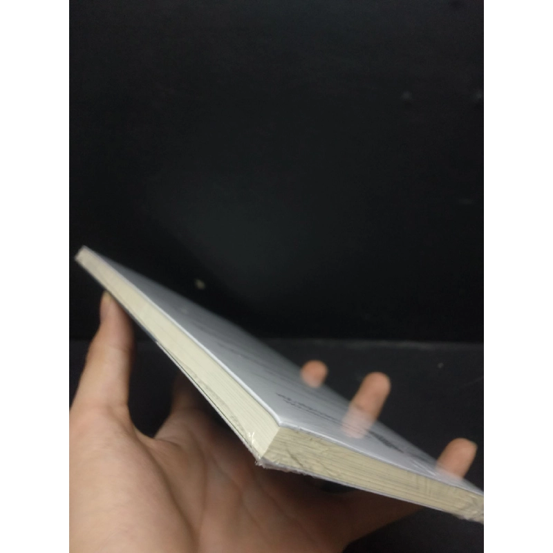 Những chân lý đơn giản về lãnh đạo mới 100% HCM2105 Ren Blanchard - Randy Conley SÁCH QUẢN TRỊ 914437