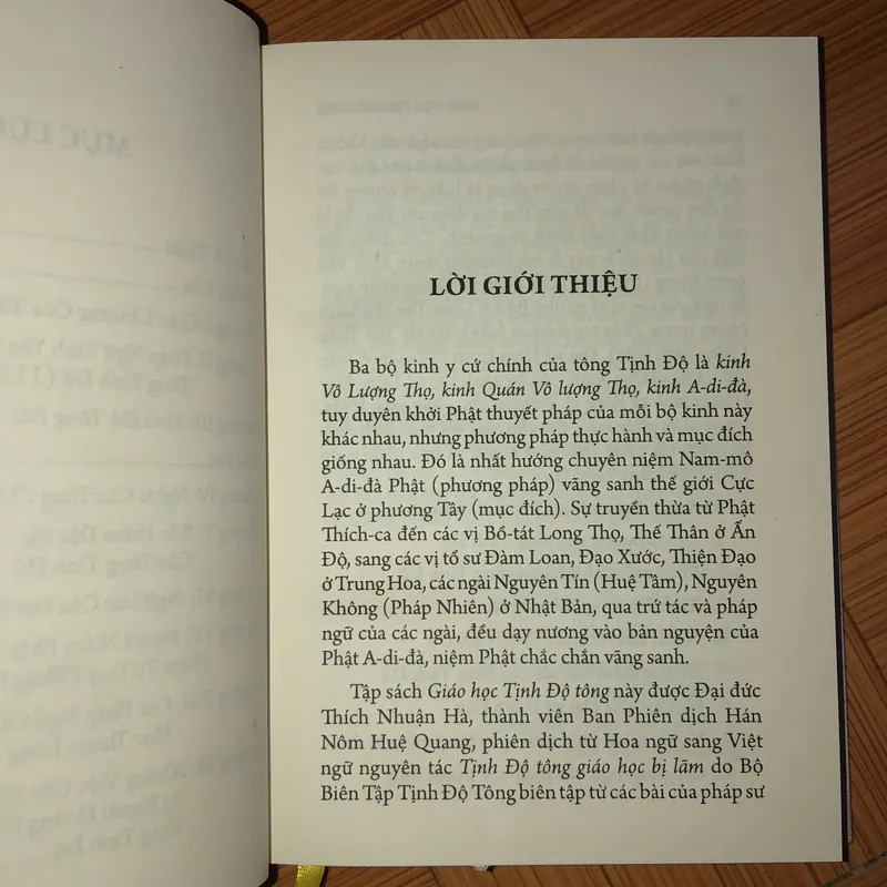 Giáo học Tịnh Độ Tông  604997