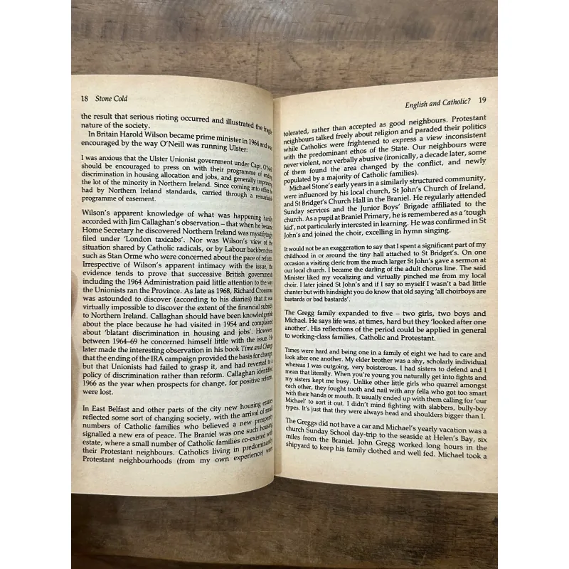 Stone Cold: The True Story of Michael Stone and the Milltown Massacre - Martin Dillon 734949