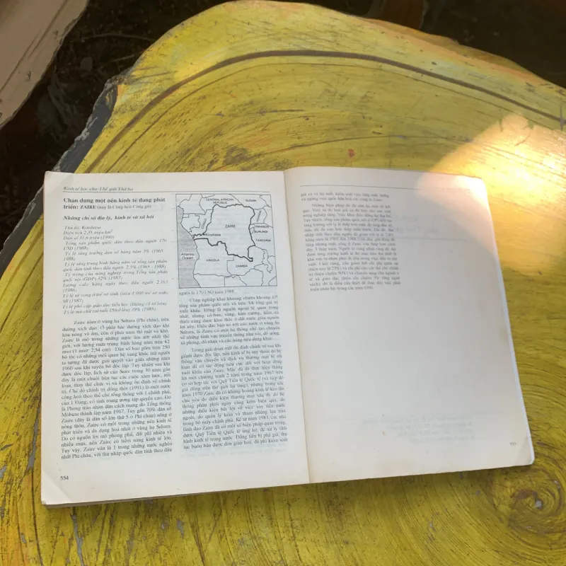 KINH TẾ HỌC CHO THẾ GIỚI THỨ BA - Michael P. TODARO  785130