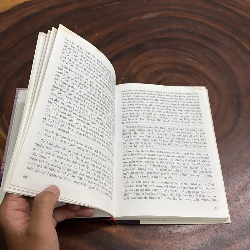 Tác Phẩm Kinh Điển: Tiếng Chim Hót Trong Bụi Mận Gai (Tập 2) - COLLEEN Mc CCULLOUCH - 2004 977215