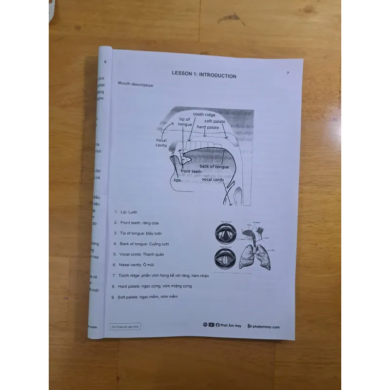 Tự Học Phát Âm Tiếng Anh (kèm video) 1025390