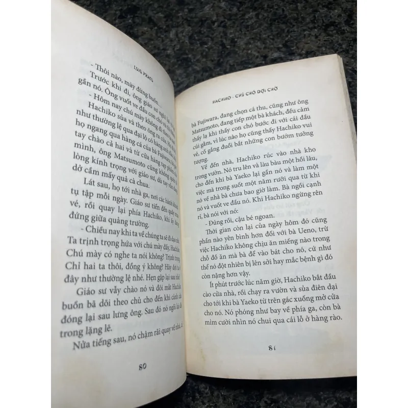 Hachiko Chú chó đợi chờ Luis Prats 705911