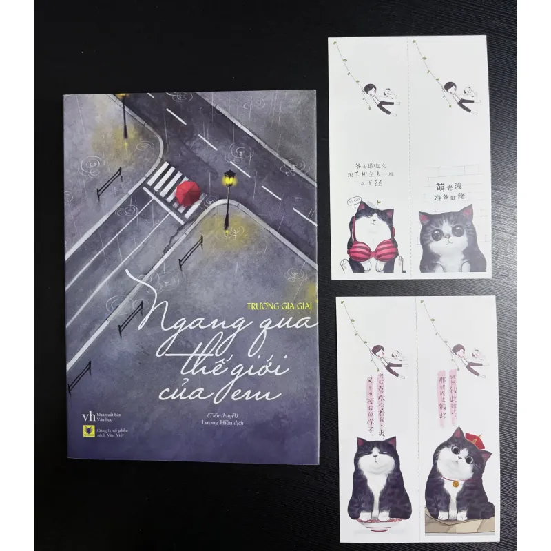 Ngang qua thế giới của em – Trương Gia Giai 797655