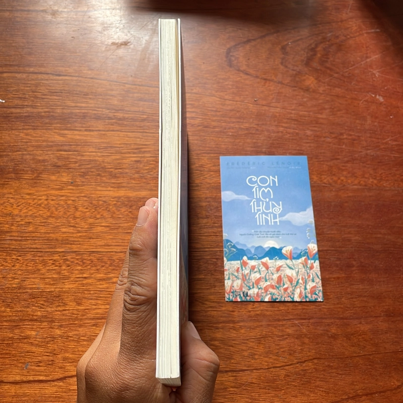 II Tựa sách: Con Tim Thuỷ Tinh - Frédéric Lenoir - 2020 517183