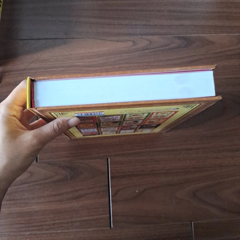 Chiếu đản kinh  523711